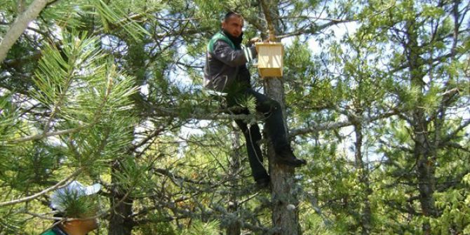 Kütahya Orman Bölge Müdürlüğü’nden Kuşlara Yuva