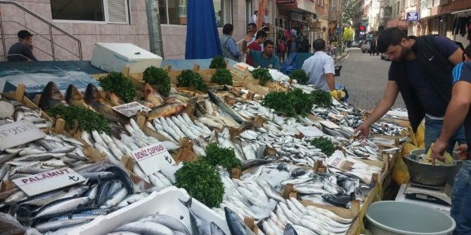 Kırmızı Et Fiyatları Artınca Balık Çeşitlerine Rağbet