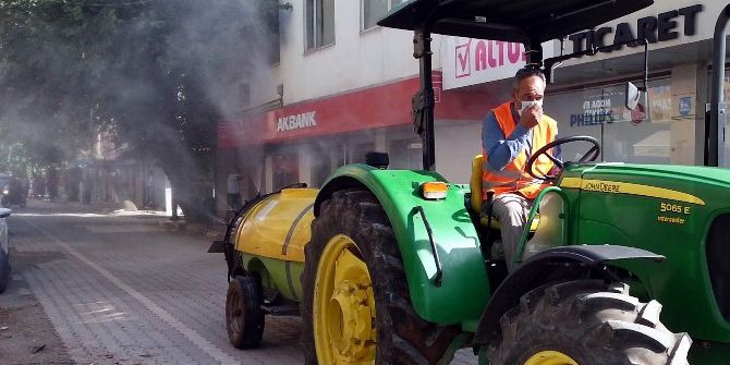 Kara Sinek İstilasında İlaçlı Mücadele De Çare Olmuyor