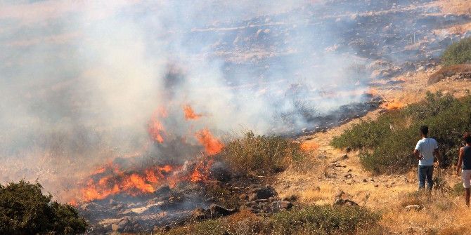 Tarihi Değirmen Tepesi Alevlere Yenik Düştü