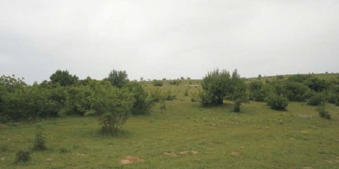 Çoğal: "Çömlek Köy Merası, Kalker Ocağına Dönüştürülmek İsteniyor"