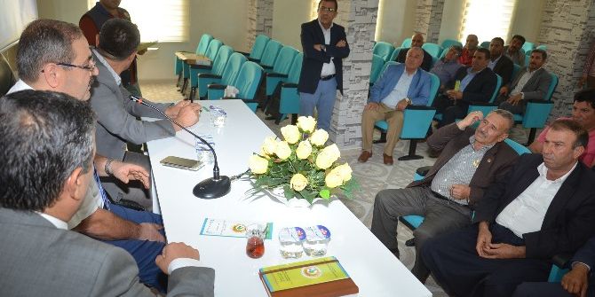 Mera Ve Hazine Alanlarının Ormana Dönüştürülmesi Çalışması