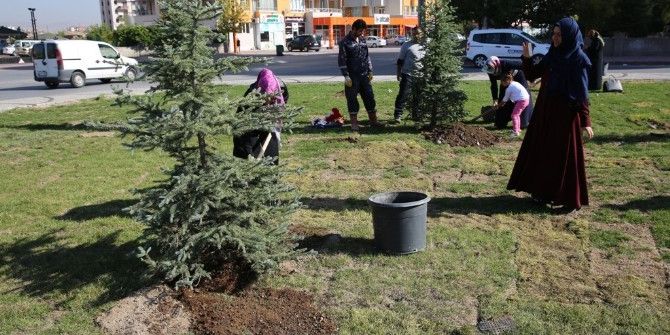 Mustafa Kaan Kumlu Kur’an Kursu Öğrencileri Fidan Dikti