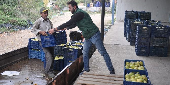 Armut Üreticisi Fiyattan Yakınıyor