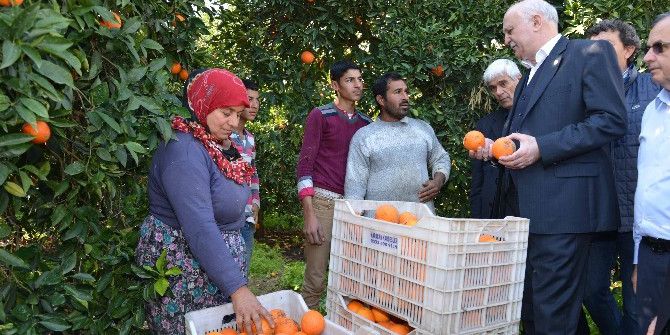 Tzob Genel Başkanı Şemsi Bayraktar: