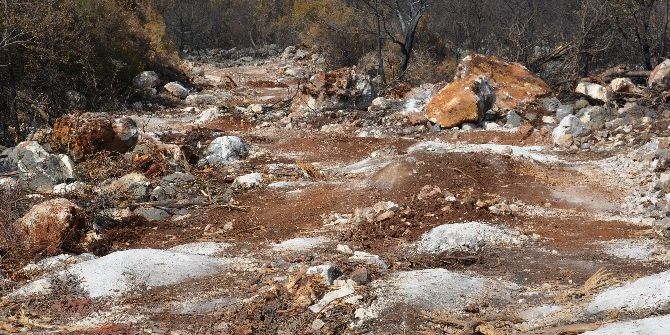 Mersin’de Yanan Orman Sahaları Yeşillendiriliyor