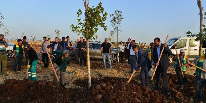 Eş Başkanlar Ankara Katliamında Hayatını Kaybedenler İçin Fidan Dikti
