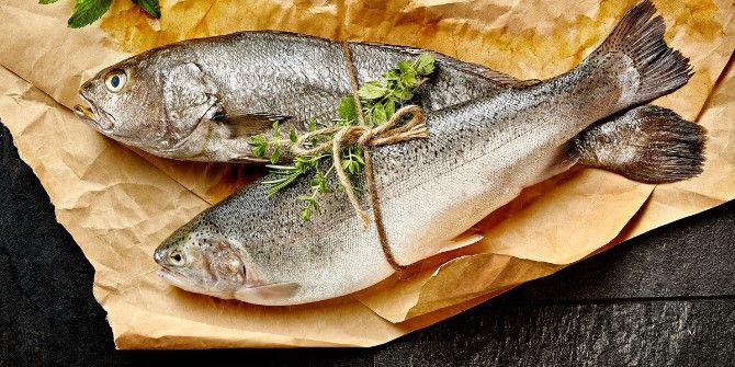 İspanyollara Türk Çipurası Ve Levreği Ziyafeti