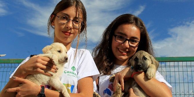 Sokak Hayvanlarına Sıcak Yuva