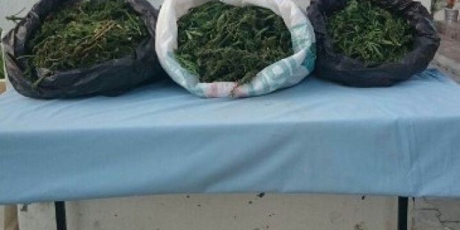 Hatay’da Uyuşturucu Operasyonu