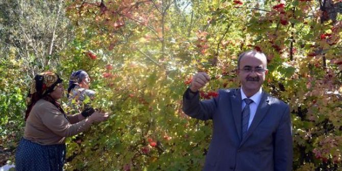 Bünyan Gilaburusuna Yoğun Talep