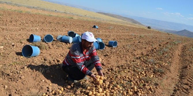 Patates Üreticileri Dertli