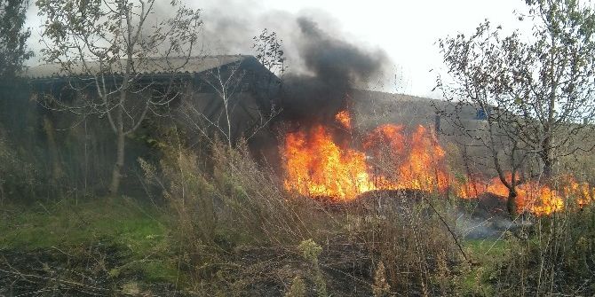 Ceviz Bahçesinde Çıkan Yangın Korkuttu