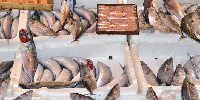 Bandırma’da Balık Fiyatları Ucuzladı