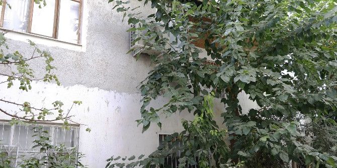 Dut Ağacından Tırmanarak Eve Giren Hırsız, Polisin Beylik Tabancasını Çaldı