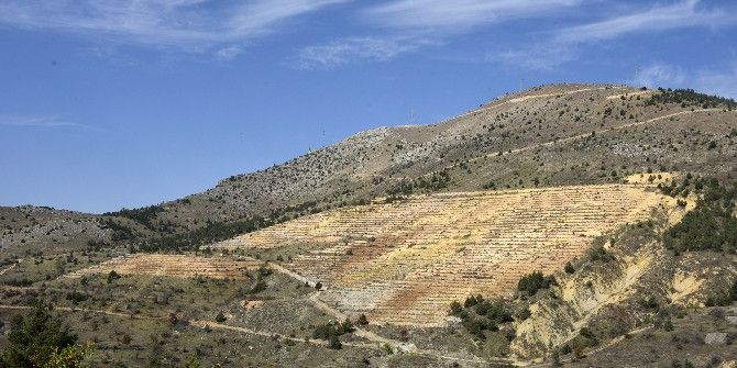Orman İşletme Bozuk Ormanlara ‘Çam’ Değil ‘Ceviz’ Dikecek