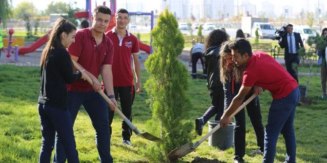 Konaklar Mahallesinde 500 Çam Fidanı Dikildi