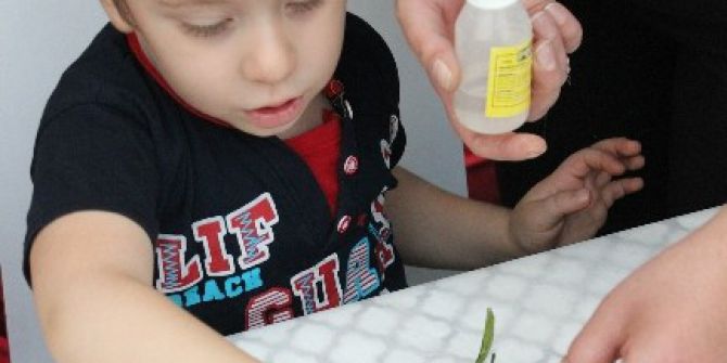 Miniklerden Birbirinden Sevimli Kapı Süsleri