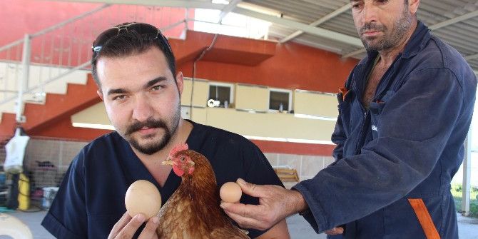 Folluktan Çıkan Bu Yumurta Şaşırttı