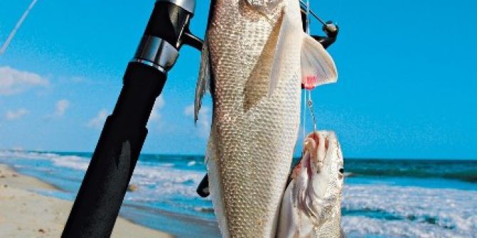 Adana Hafta Sonu Heyecan Dolu