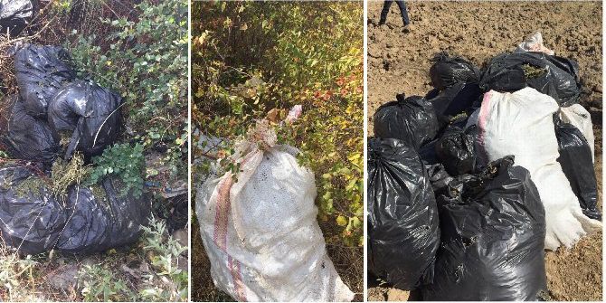 Diyarbakır’da Dere Yatağına Gizlenmiş Halde 164 Kilo Esrar Ele Geçirildi