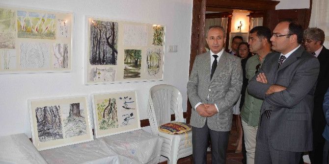 Türk Ve İngiliz Sanatçılar Anadolu Sığla Ağaçlarını Resmetti