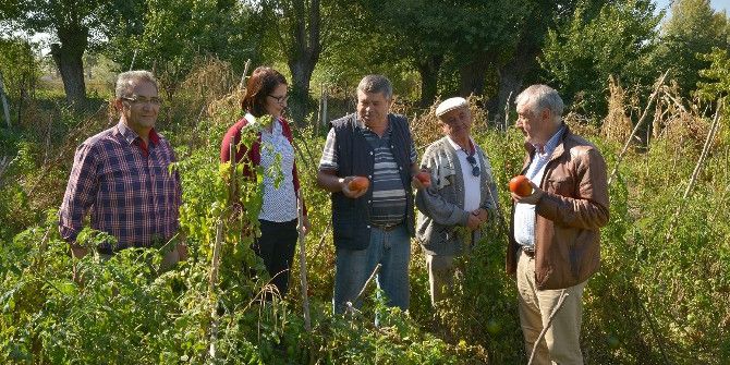Tepebaşı Sebze Ve Meyve Üreticilerini Bilgilendirdi