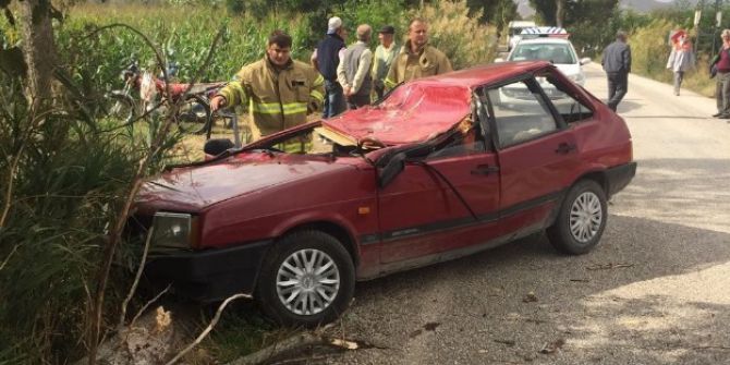 Seyir Halindeki Aracın Üzerine Ağaç Düştü: 1 Ölü, 1 Yaralı