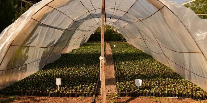 Diyarbakır’da Yeşil Alanlarda Kullanılmak Üzere 300 Bin Çiçek Poşetleniyor