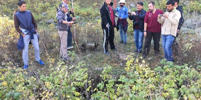 Kars’ta Trenin Çarptığı Ayı Yavrusu Yaralandı
