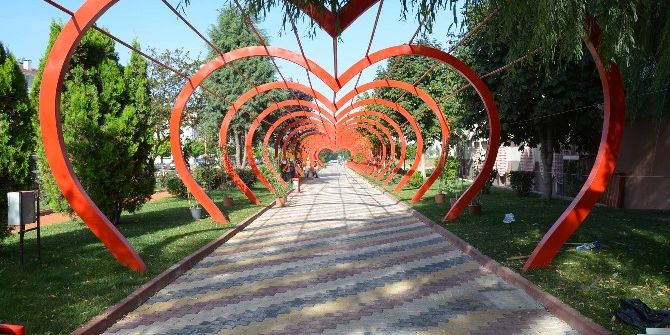 Sevgi Yolu’na 7 Çeşit Sarmaşık Dikildi