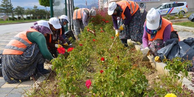 Bozüyük’teki Parklarda Sonbahar Güzelliği