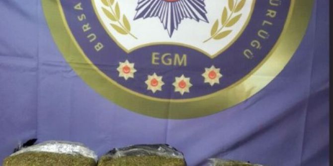 Bursa’da 25 Kilo Esrar Ele Geçirildi