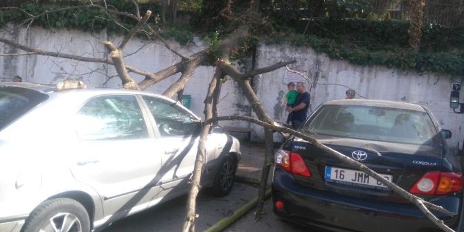 Lodostan Devrilen Ağaç Park Halindeki 5 Aracın Üzerine Düştü