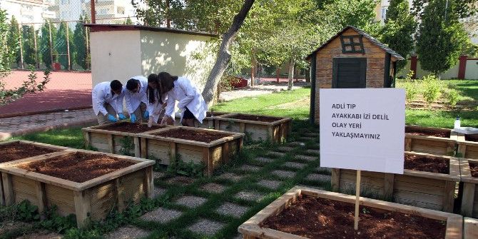 Özel Sanko Fen Ve Teknoloji Lisesi Öğrencileri Genetik Dersinde Adli Tıp İncelemesi Yaptı