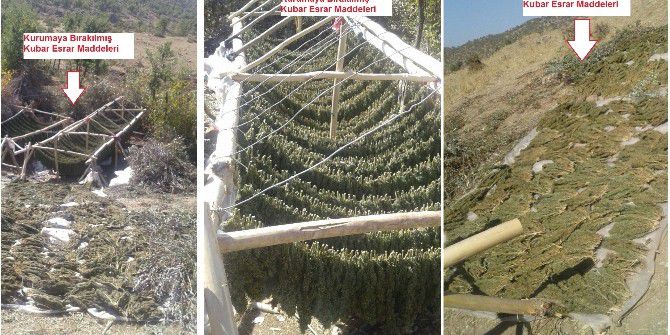 Diyarbakır’da 306 Kilo Esrar Ele Geçirildi