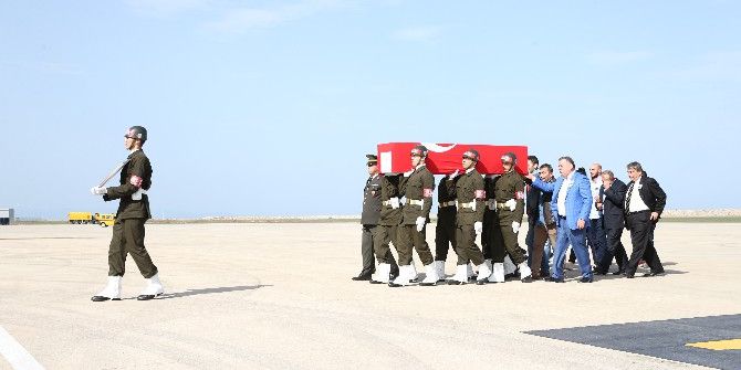 Şehidin Cenazesi Ordu’ya Getirildi