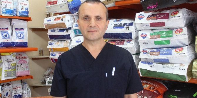 Sokak Köpeklerinin Otomobili Parçalaması