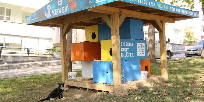 Can Dostları Nilüfer’de Güvende