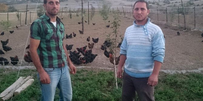 Genç Girişimci Kardeşlerden Örnek İşletme