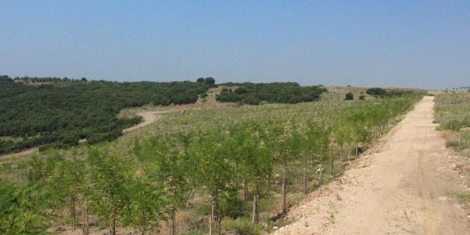 Sakarya’da Eski Maden Ocakları Tabiata Geri Kazandırılıyor