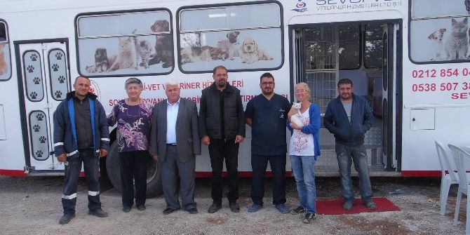 Çardak’ta Sokak Hayvanları Kısırlaştırılıyor