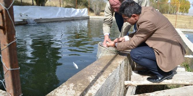 Müdür Engin Alabalık Tesisini Ziyaret Etti