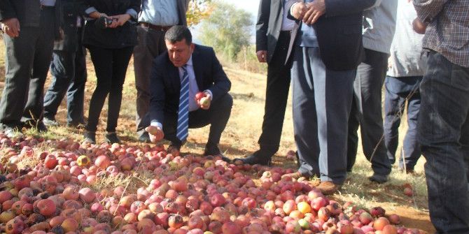 Chp Genel Başkan Yardımcısı Ve Malatya Milletvekili Veli Ağbaba: