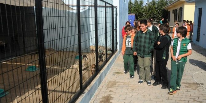 Öğrenciler Sevgilerini Minik Dostlarıyla Paylaştı