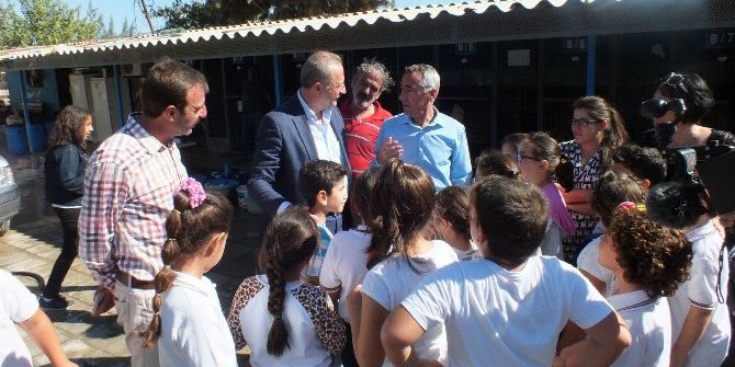 Bileklik Yapıp Satarak Barınaktaki Hayvanlara Mama Aldılar