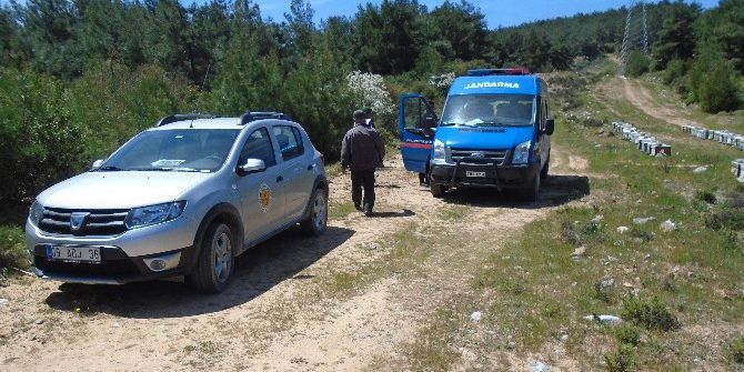Gözü Dönmüş Hırsızlar 52 Kovan Arıyı Balıyla Birlikte Çaldı