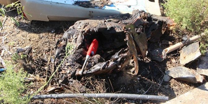 Fethiye’de Yakılmış Caretta Caretta