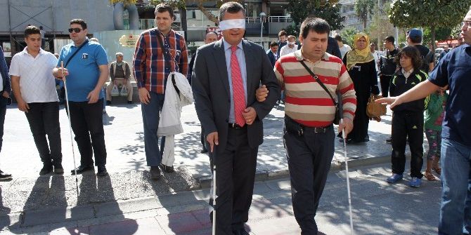 Görmeden Yaşamı Anlamaya Çalıştılar