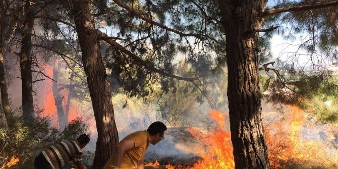 Eline Ağaç Dalını Alan Alevlere Koştu